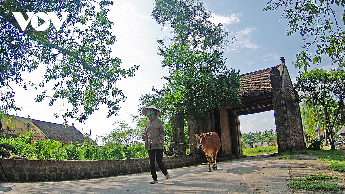 Hồn quê xứ Đoài, “Đêm làng cổ” Đường Lâm